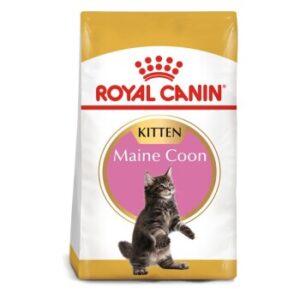 Зоомагазин zoomag.bg Royal Canin гранули за котенца Maine Coon Kitten 2кг