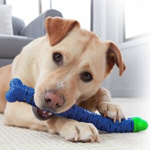 zoomag.bg Кокал за почистване на зъби CHEWBRUSH
