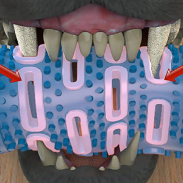 zoomag.bg Кокал за почистване на зъби CHEWBRUSH