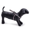 zoomag.bg Нагръдник за куче от изкуствена лента с неопрен NUNBELL
