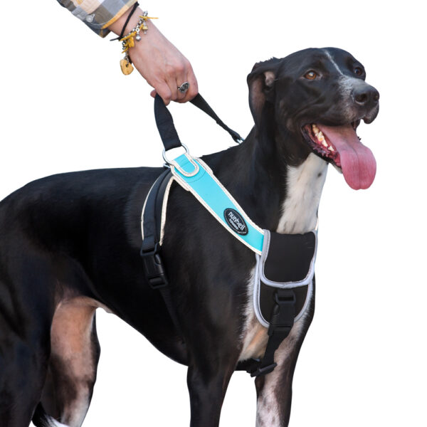 zoomag.bg Светлоотразителен нагръдник за куче с ръкохватка NUNBELL