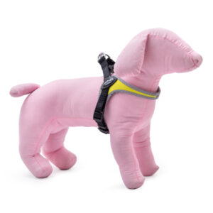 zoomag.bg Светлоотразителен нагръдник за куче и коте с токи, регулиращ се NUNBELL