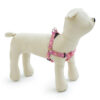 zoomag.bg Нагръдник за куче и коте от изкуствена двойна лента с пластмасова тока, регулиращ се, FANCY DOG ЛУКС розово