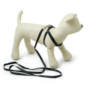 zoomag.bg Комплект повод с нагръдник от изкуствена лента за кучета или котки