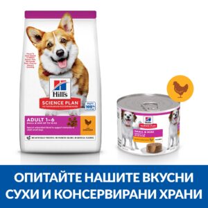 zoomag.bg
