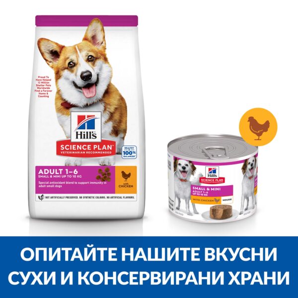 zoomag.bg