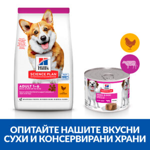 zoomag.bg