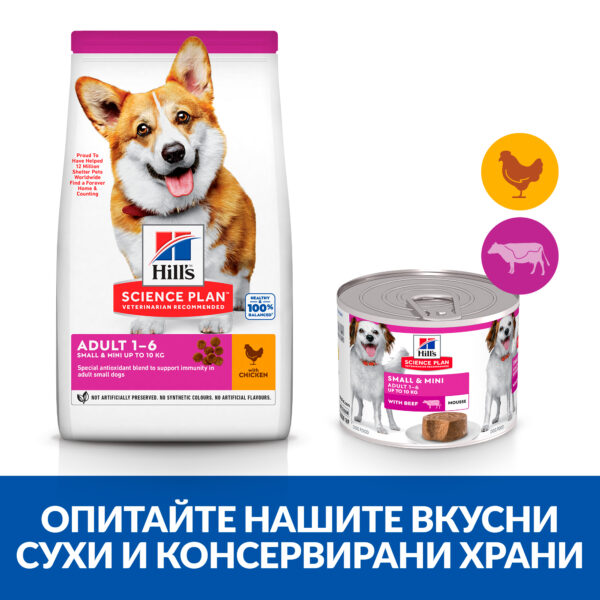 zoomag.bg