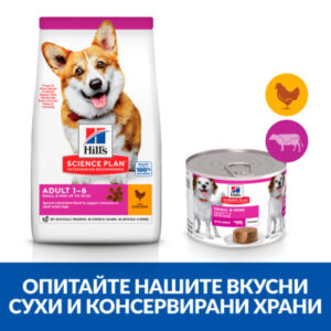 zoomag.bg