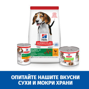zoomag.bg