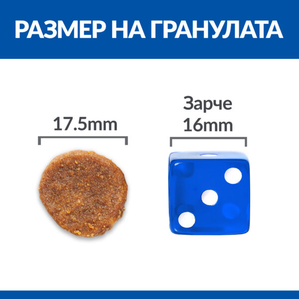 zoomag.bg