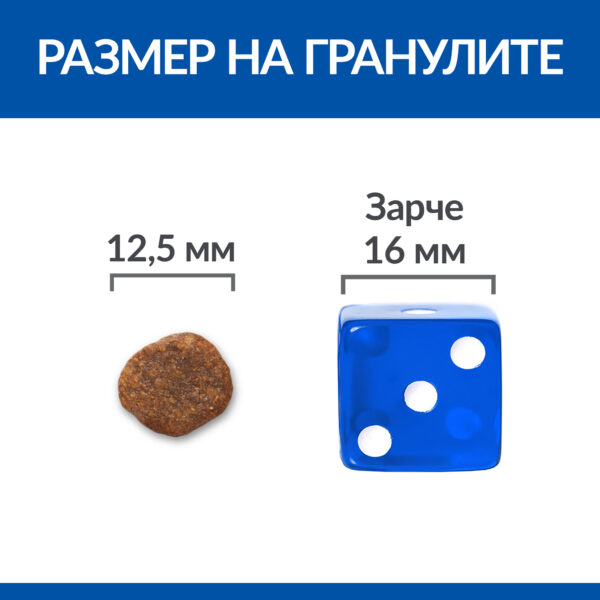 zoomag.bg