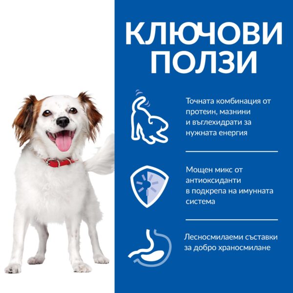 zoomag.bg