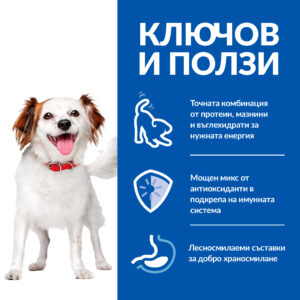 zoomag.bg