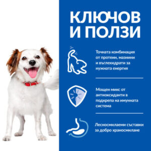 zoomag.bg