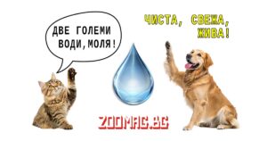 zoomag.bg - ежедневна вода с обратна осмоза за домашни любимци