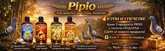 промоция на суплементи за гълъби Pipio
