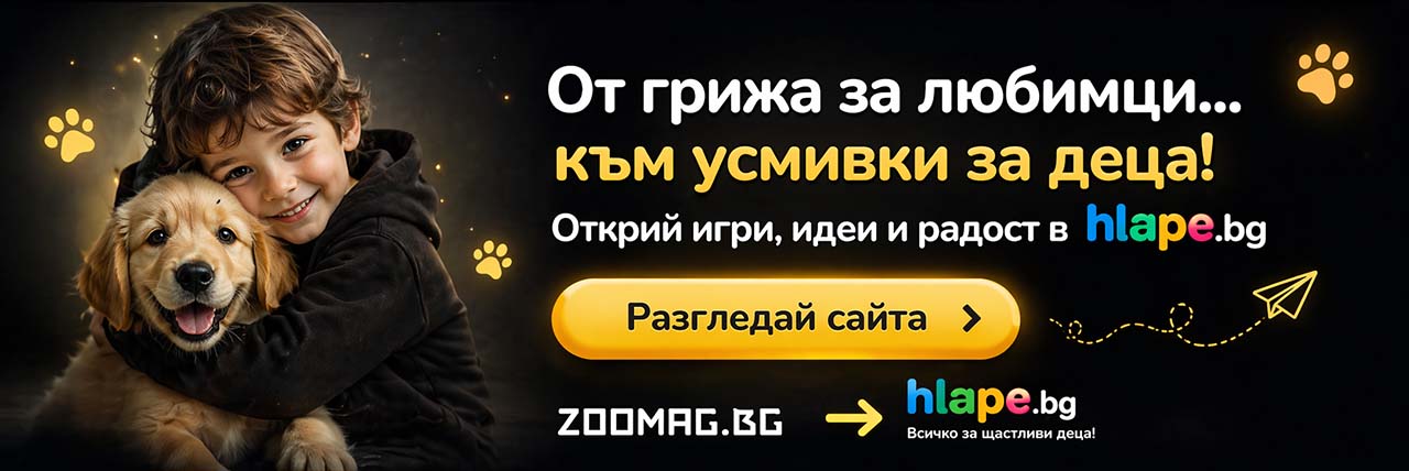 zoomag.bg - от грижа за любимци към усмивки за деца. Разгледайте предложенията на нашите партньори от hlape.bg